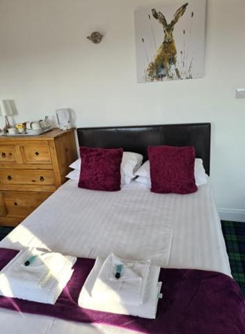 Black Isle Apartment